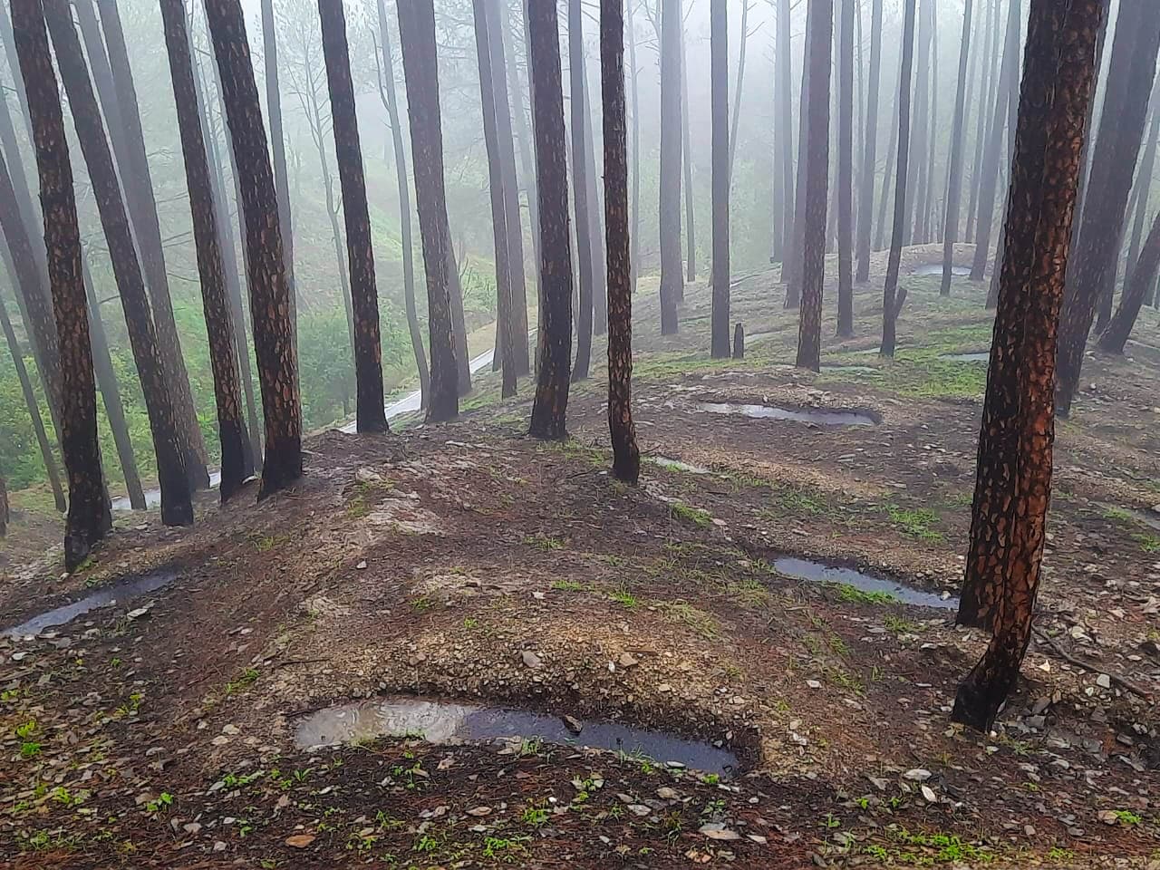 Trenches and Ponds 1
