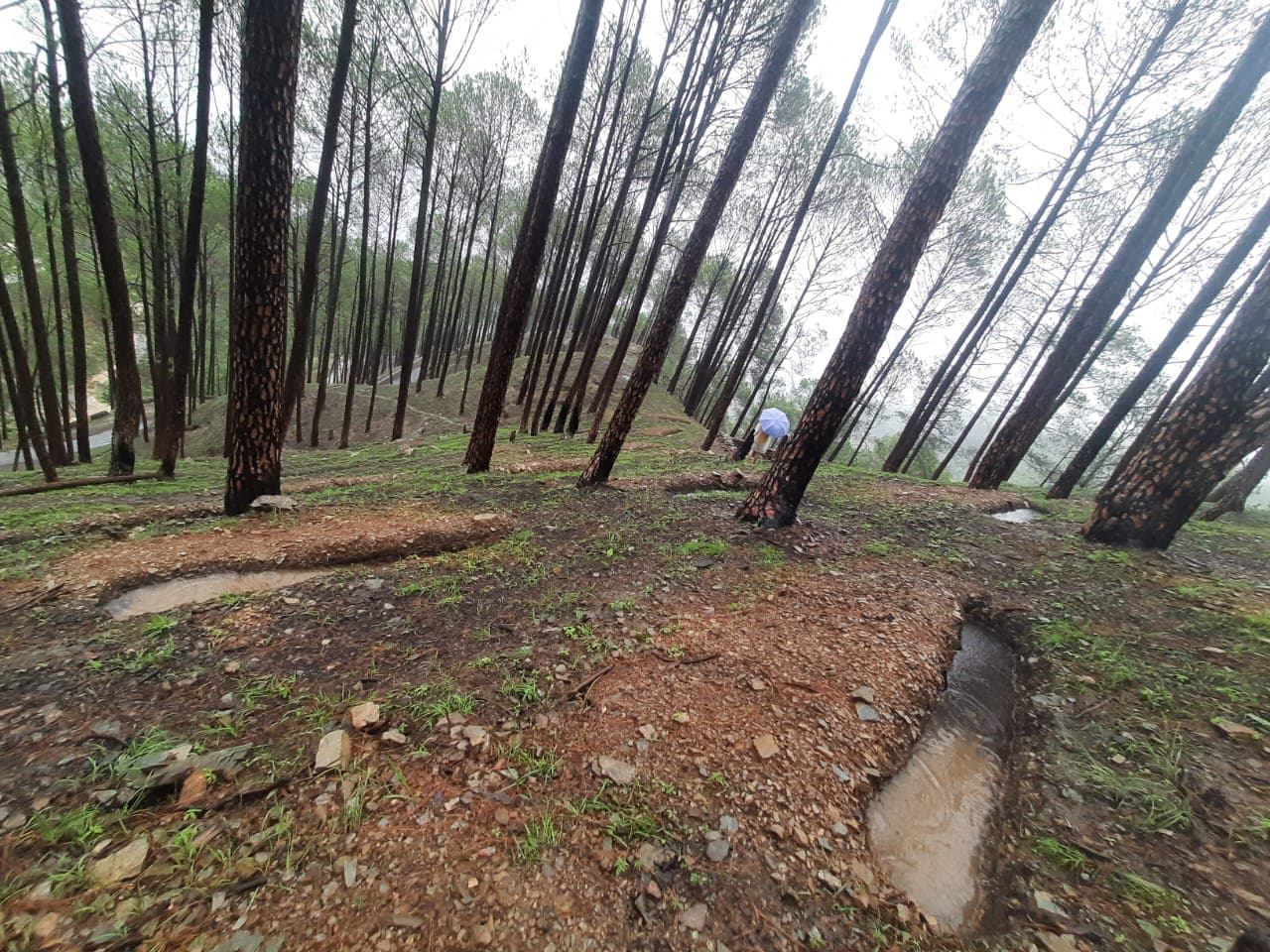 Trenches and Ponds 2