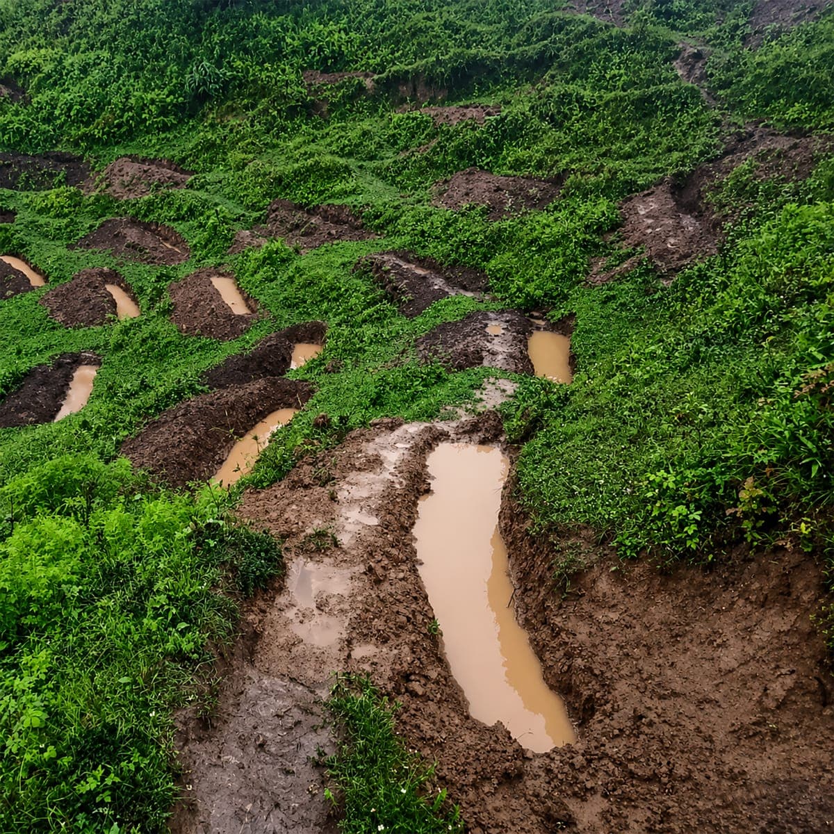 Trenches and Ponds 5