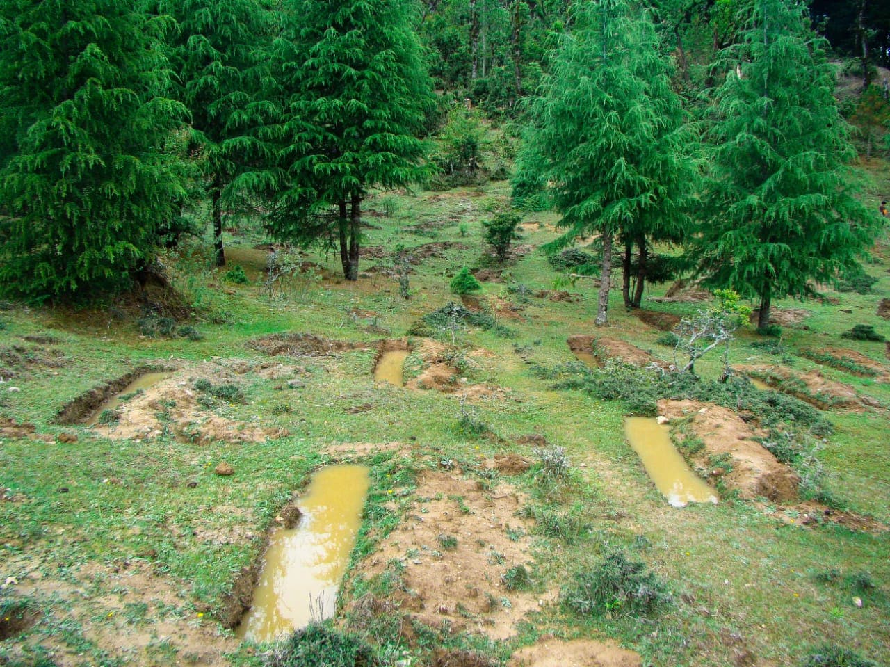 Trenches and Ponds 8