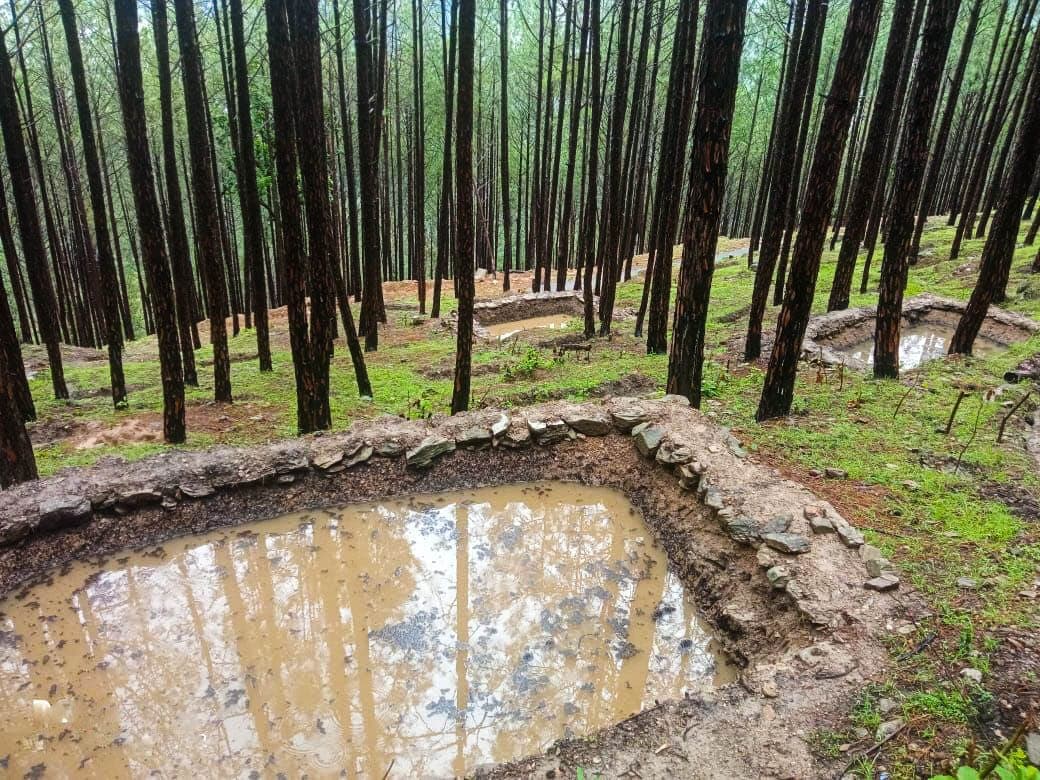 Trenches and Ponds 9