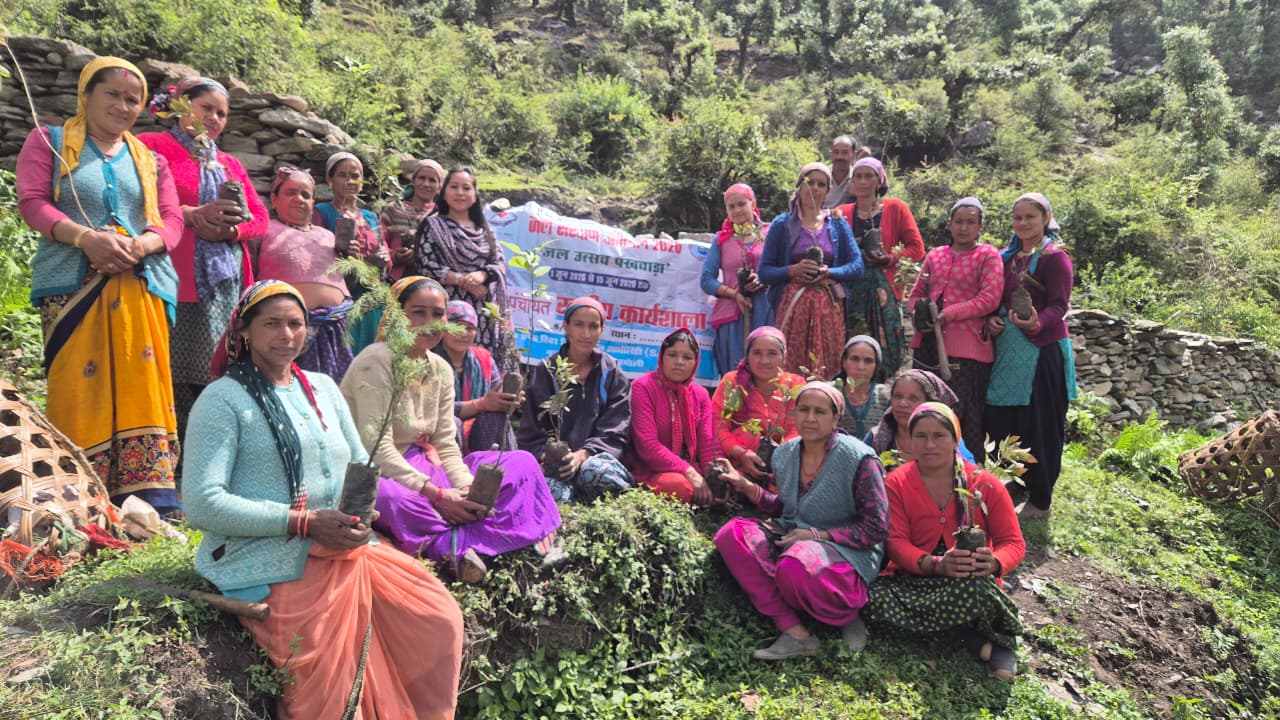 Plantation drive at district Chamoli
